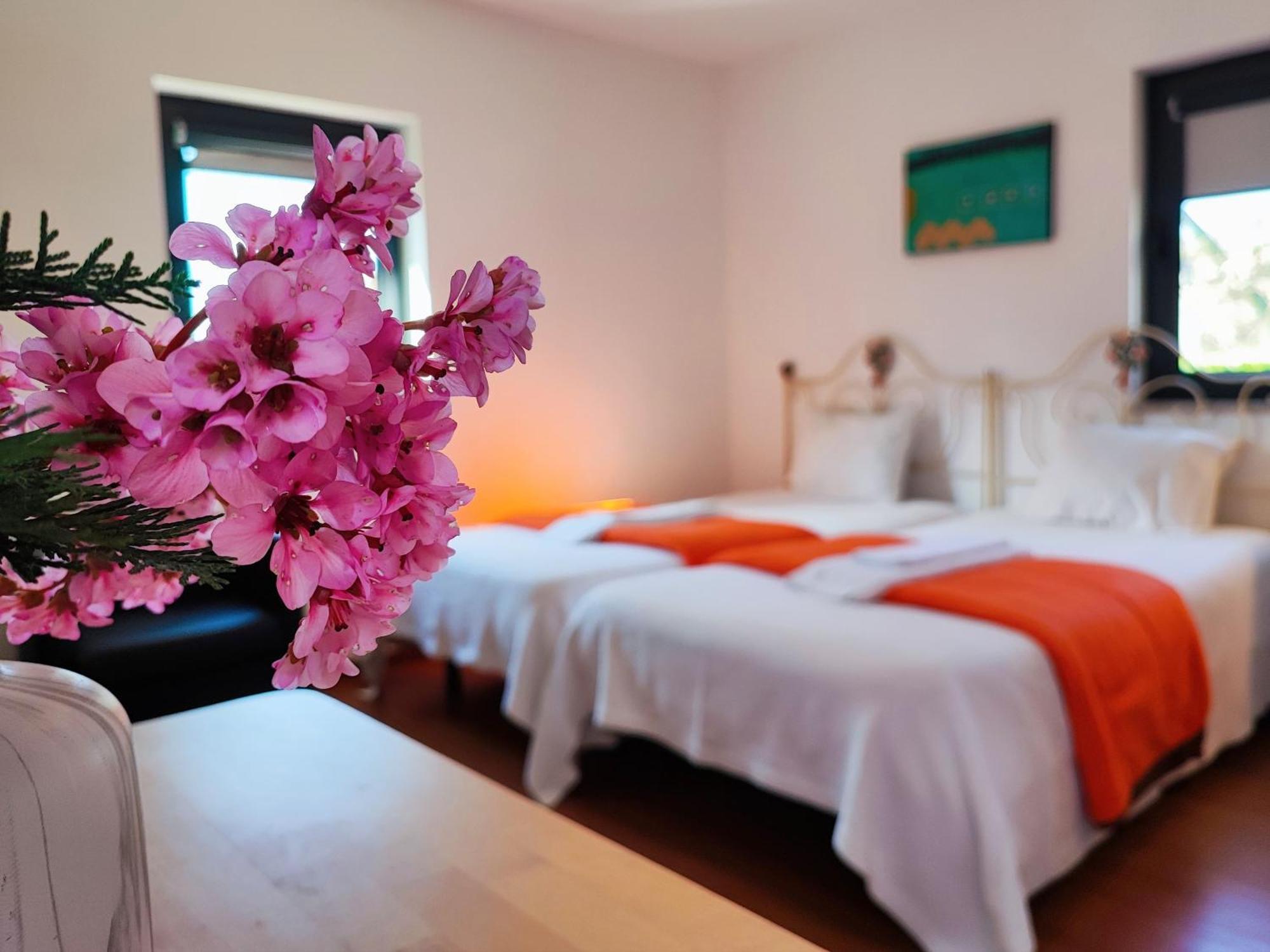 Agroturismo Quinta De Travancela Amarante Esterno foto