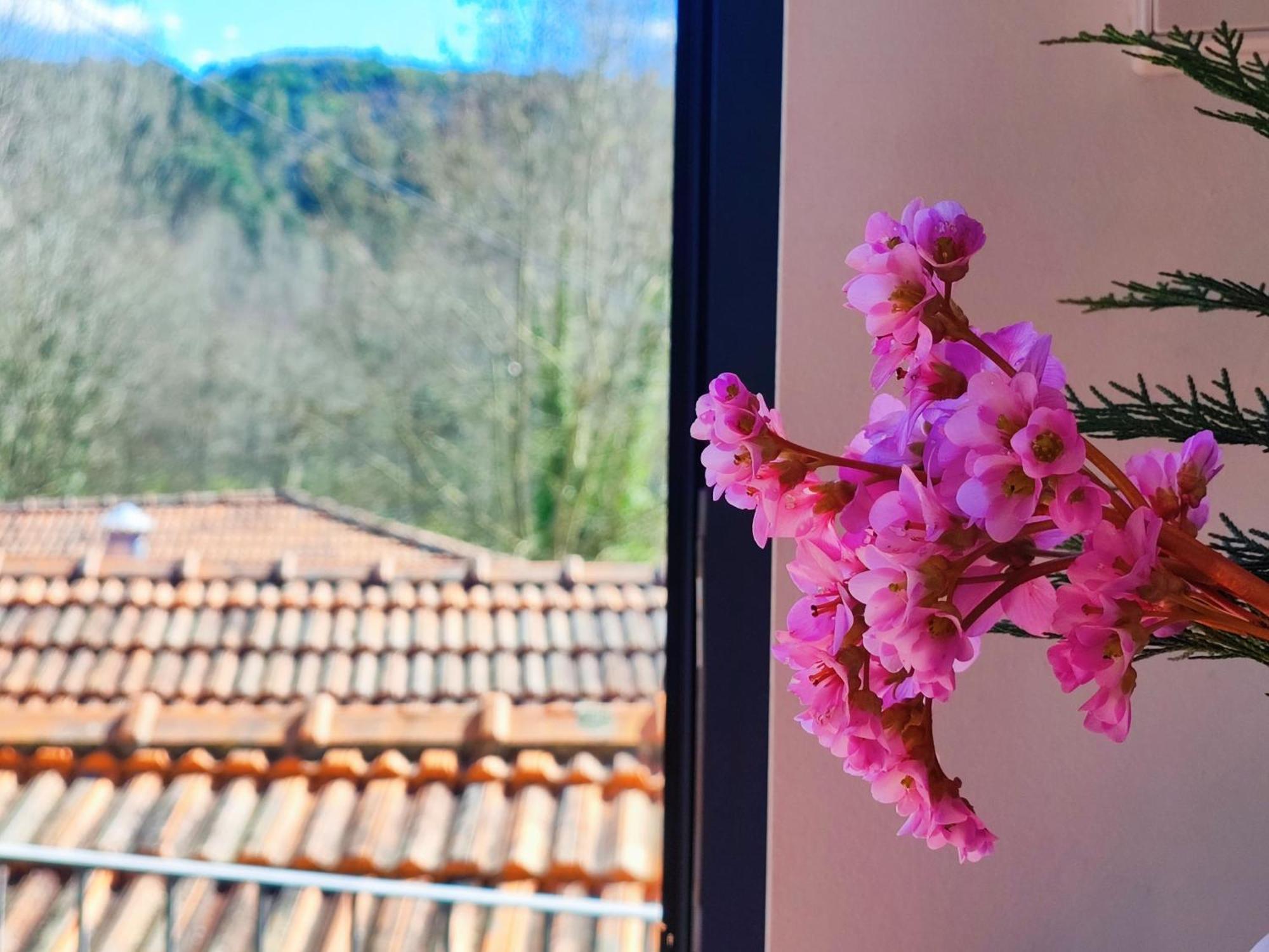 Agroturismo Quinta De Travancela Amarante Esterno foto