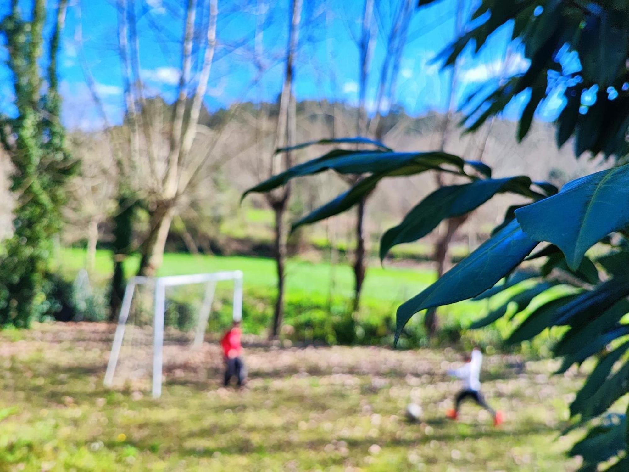 Agroturismo Quinta De Travancela Amarante Esterno foto