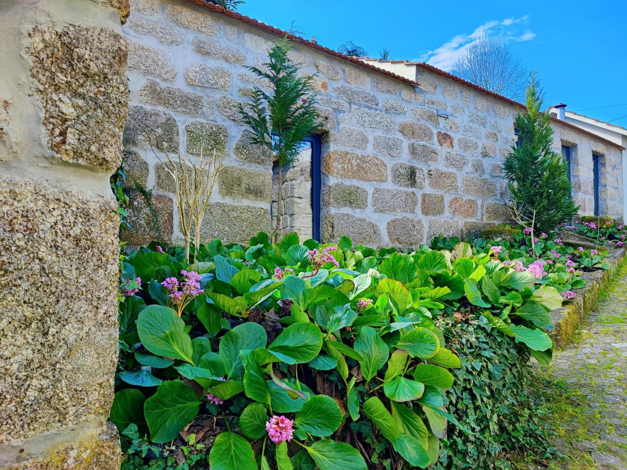 Agroturismo Quinta De Travancela Amarante Esterno foto
